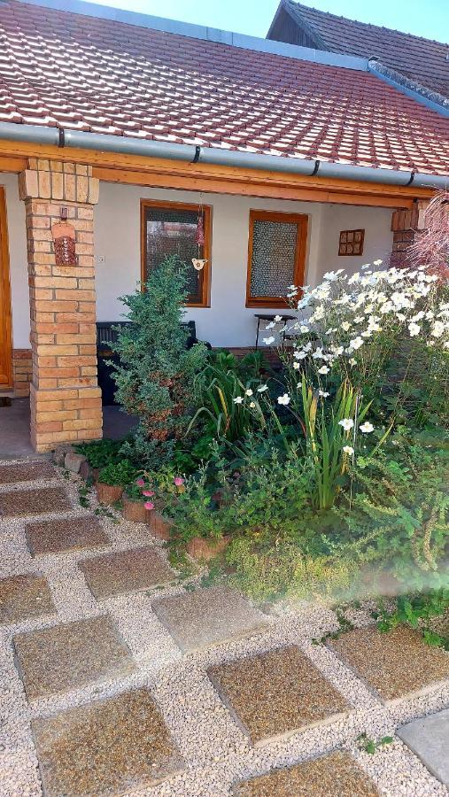 Mandula Apartman Segedyn Zewnętrze zdjęcie